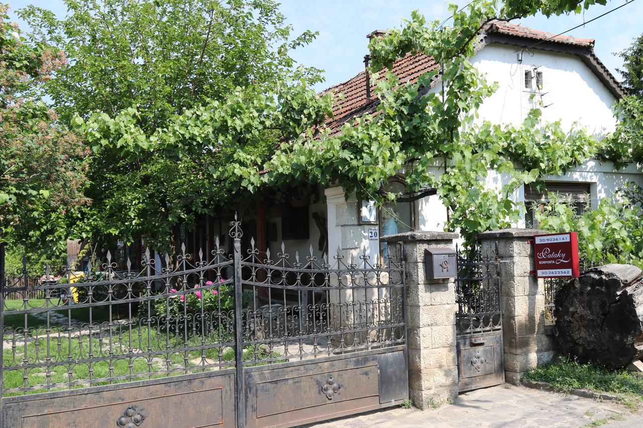 Pataky Borporta Bed & Breakfast Tarcal Eksteriør bilde