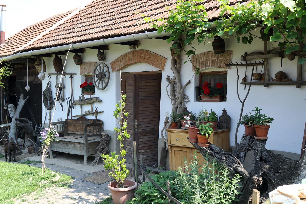 Pataky Borporta Bed & Breakfast Tarcal Eksteriør bilde