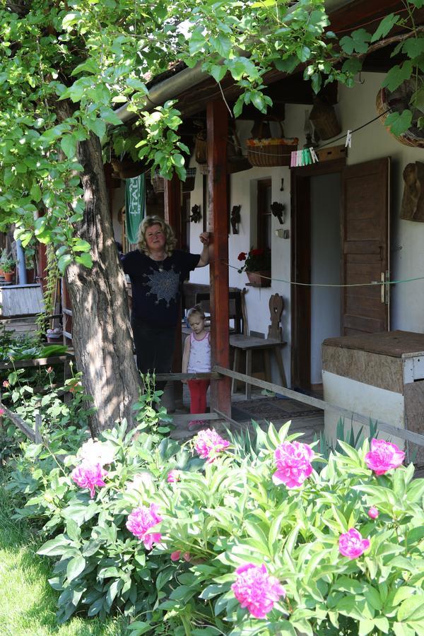 Pataky Borporta Bed & Breakfast Tarcal Eksteriør bilde