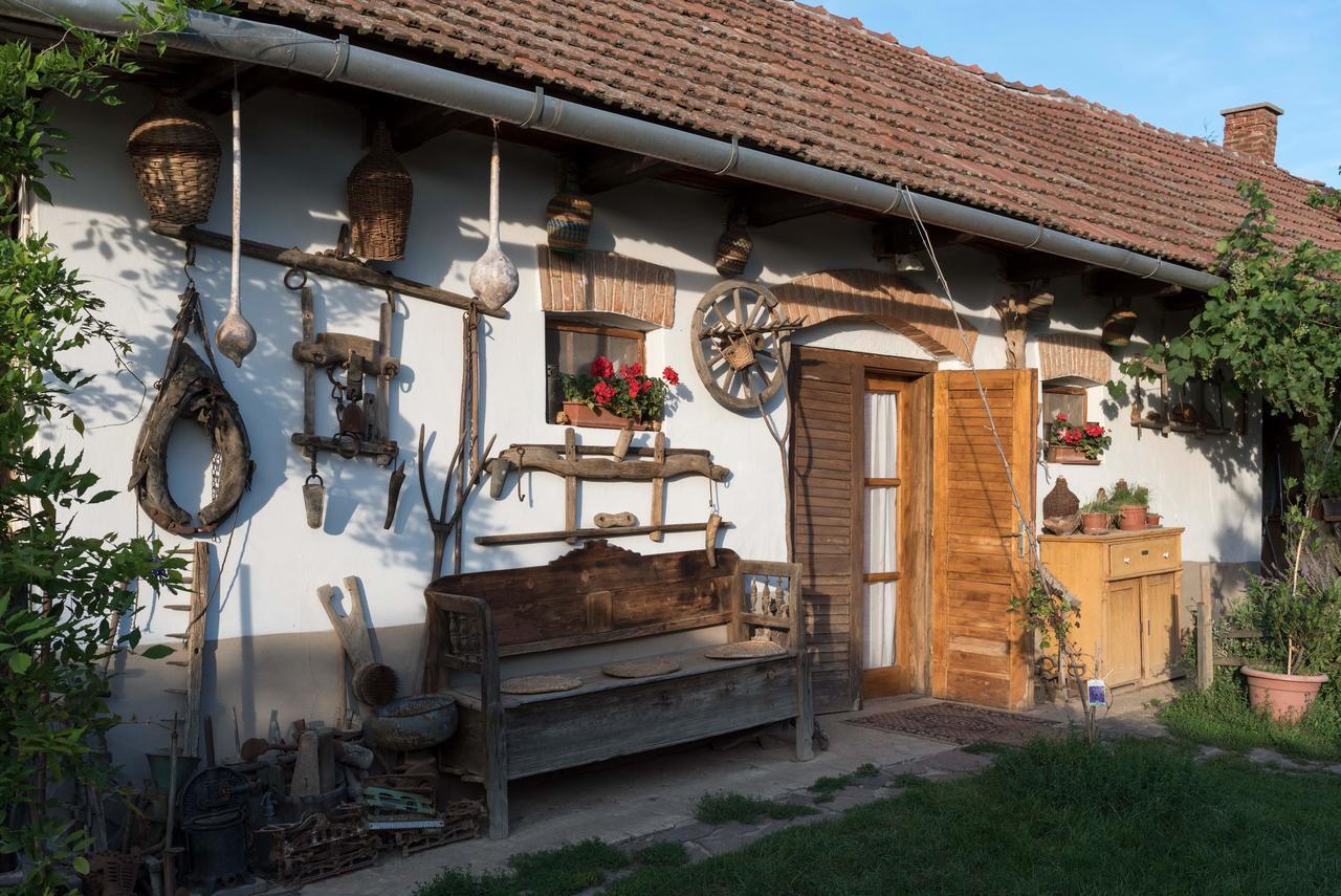 Pataky Borporta Bed & Breakfast Tarcal Eksteriør bilde