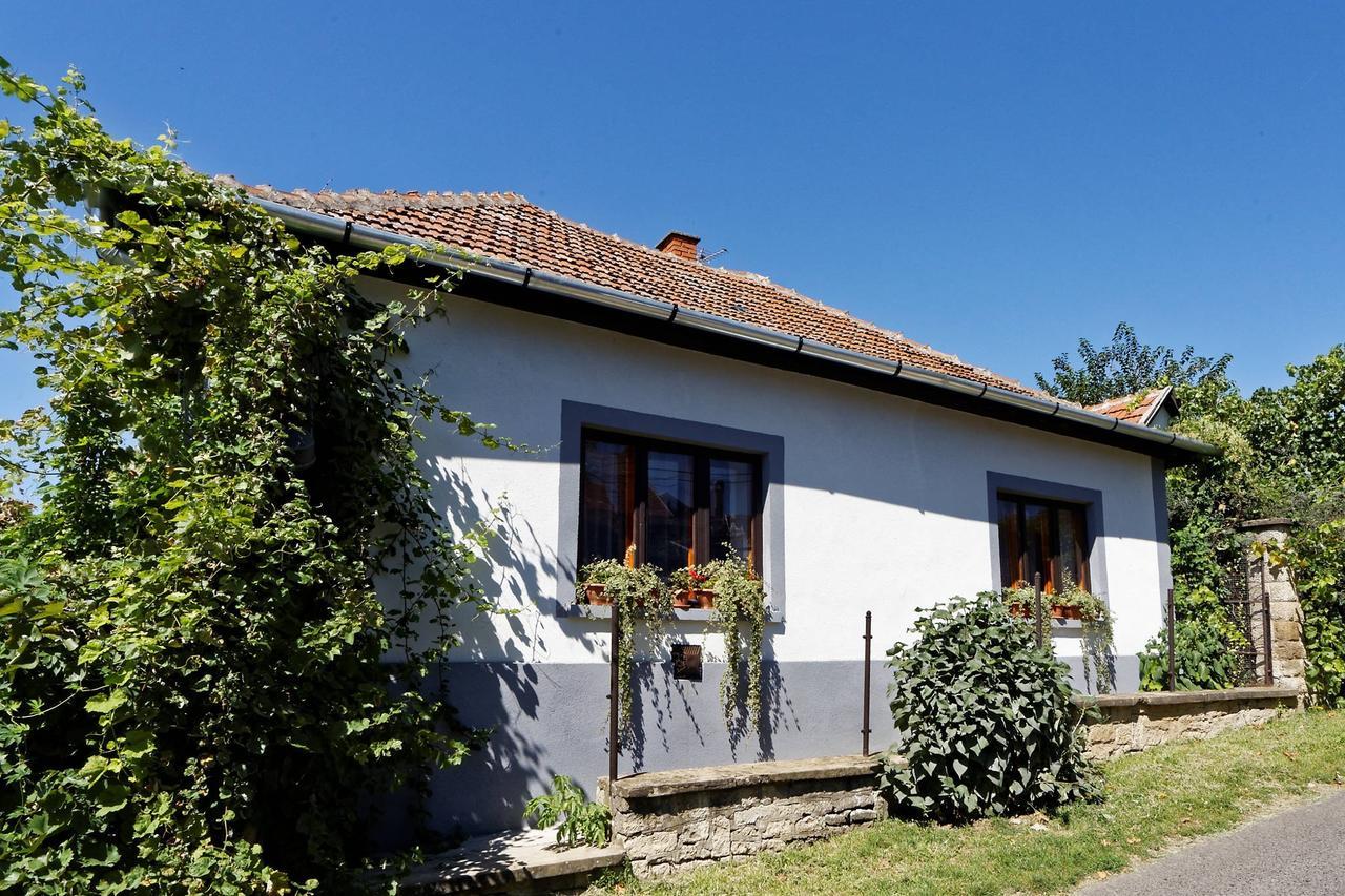 Pataky Borporta Bed & Breakfast Tarcal Eksteriør bilde